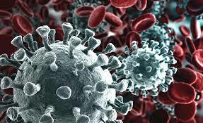 Nuovo coronavirus - Ordinanza Ministero-Regione Veneto